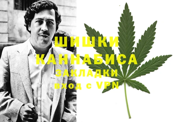 гидра Армянск