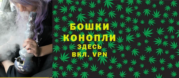 гидра Армянск